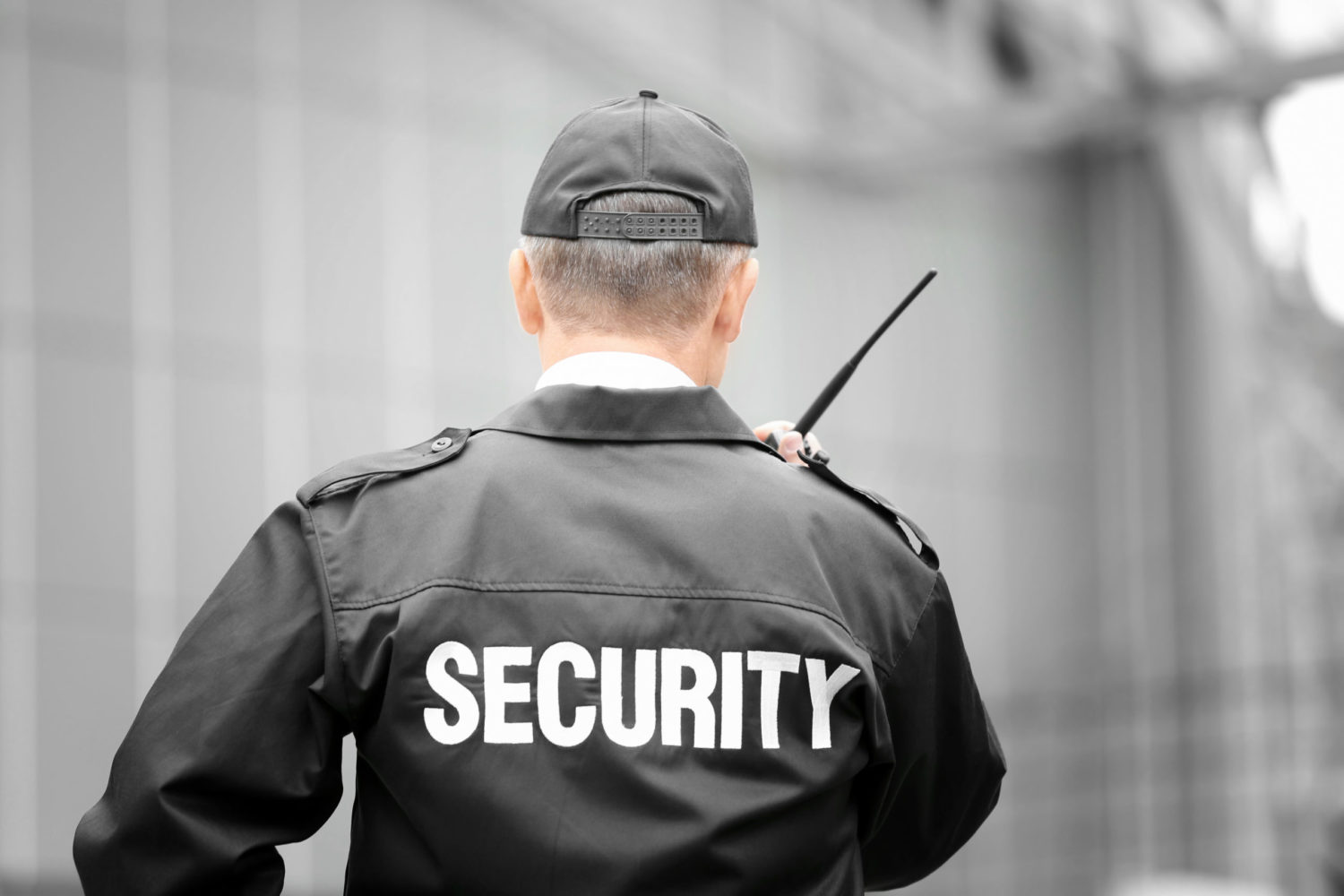 What Is The Purpose Of Security Guard Services Cutty Protection And